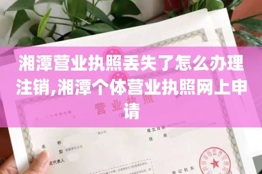 湘潭营业执照丢失了怎么办理注销,湘潭个体营业执照网上申请