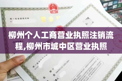 柳州个人工商营业执照注销流程,柳州市城中区营业执照